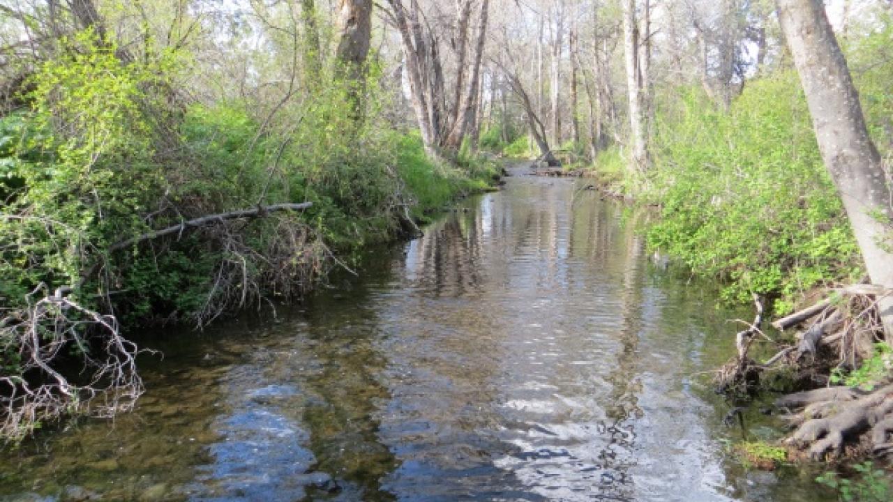 Little Shasta River